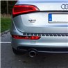 Ladekantenschutz Schutzplatte EDELSTAHL + CARBON Nissan Primastar